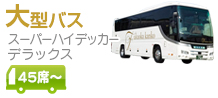 福岡観光バス（貸切バス）大型バス【デラックス・スーパーハイデッカー】