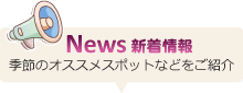 福岡観光バス株式会社（福岡観光バス）のNews新着情報 季節のオススメスポットなどをご紹介